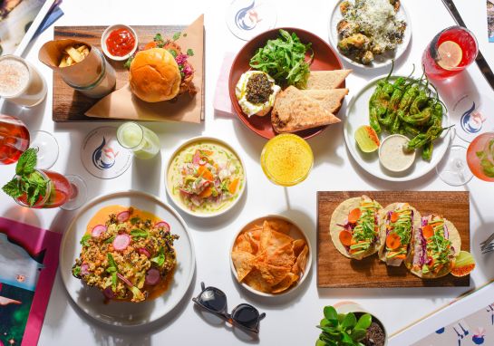 TheSurfingFox_MainMenu_FoodItems