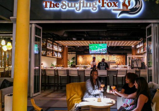 The Surfing Fox at Night with Friends